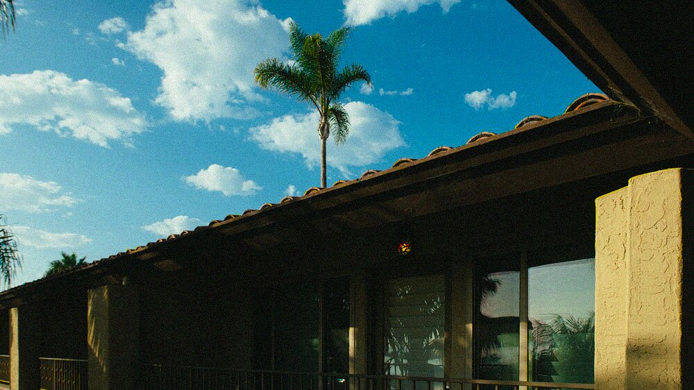 A low single-story house with wide eaves and a palm in the yard